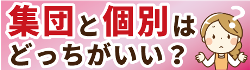 看護予備校の集団授業と個別指導の違い。あなたにはどっちが向いている？